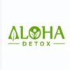 Which is the best detox centre in Florida?