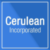Cerulean Inc