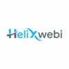 Helixwebi Web Designing Company Surat   Ecommerce Web Developer